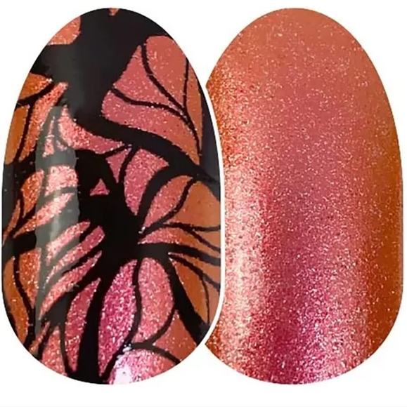 Color Street Nail Strips "Wing it On" (retired) - Picture 4 of 7